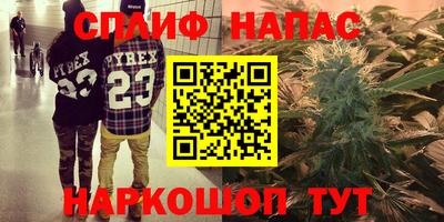 спиды Гусев