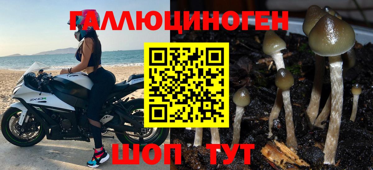 Галлюциногенные грибы Cubensis Ноябрьск
