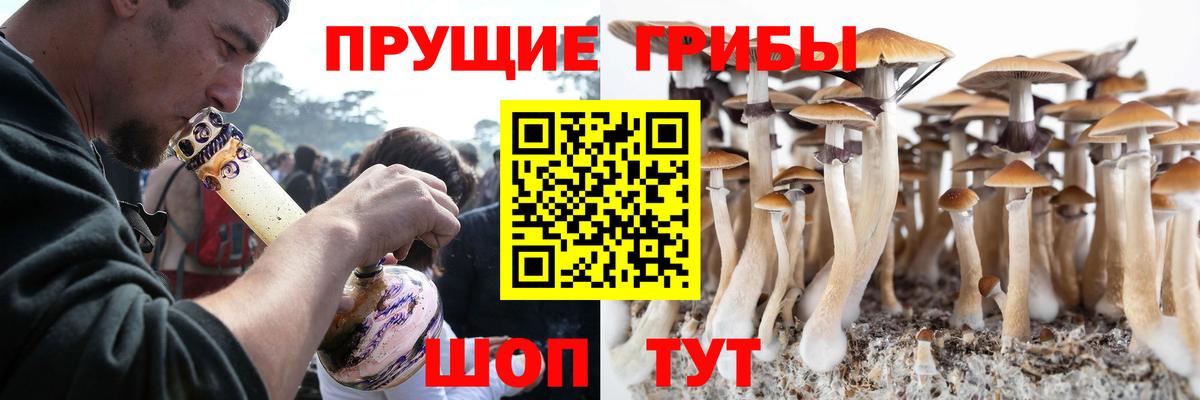 Галлюциногенные грибы Magic Shrooms  Вход с VPN  Ноябрьск 