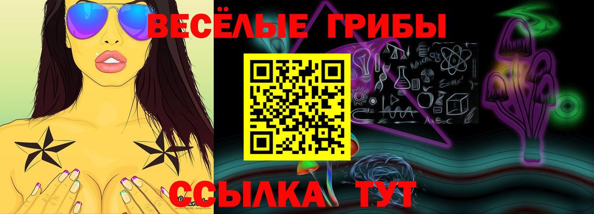 Галлюциногенные грибы мицелий  Галлюциногенные грибы мицелий  Ноябрьск 